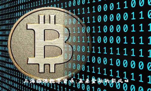 上海临港数字货币：未来金融的新风口