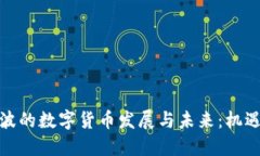 探索宁波的数字货币发展与未来：机遇与挑战