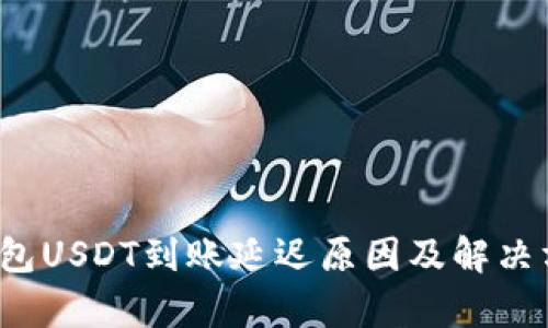  麦子钱包USDT到账延迟原因及解决方案解析