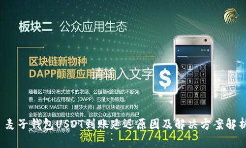  麦子钱包USDT到账延迟原因及解决方案解析