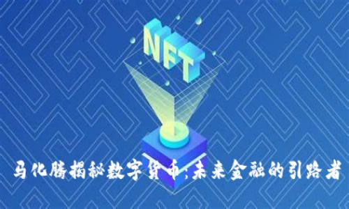 马化腾揭秘数字货币：未来金融的引路者