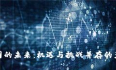 数字货币公司的未来：机遇与挑战并存的产业变