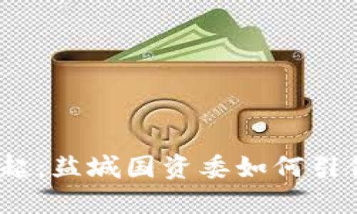 数字货币的崛起：盐城国资委如何引领新金融时代?
