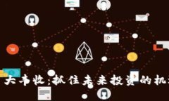 数字货币大丰收：抓住未来投资的机遇与挑战