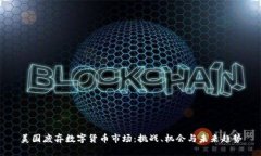 美国废弃数字货币市场：挑战、机会与未来趋势