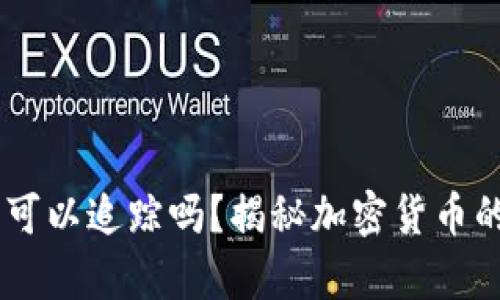 USDT钱包真的可以追踪吗？揭秘加密货币的隐私与透明性