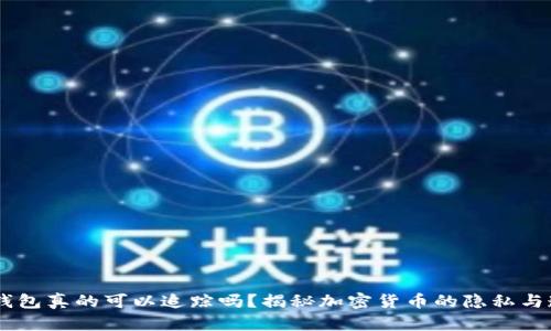 USDT钱包真的可以追踪吗？揭秘加密货币的隐私与透明性