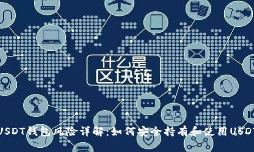 USDT钱包风险详解：如何安全持有和使用USDT