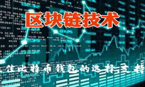  全面解析：最佳比特币钱包的选择，支持USDT的推荐！