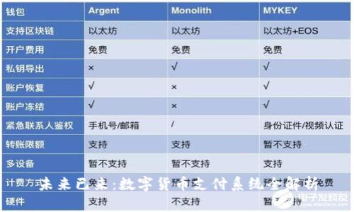 未来已来：数字货币支付系统全解析