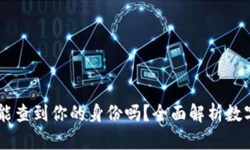 通过USDT钱包地址能查到你的身份吗？全面解析数字货币隐私与透明性
