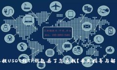 : 抹茶提USDT到TP钱包丢了怎么找？专业指导与解决