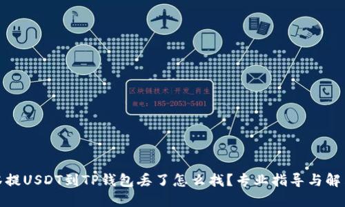 : 抹茶提USDT到TP钱包丢了怎么找？专业指导与解决方案