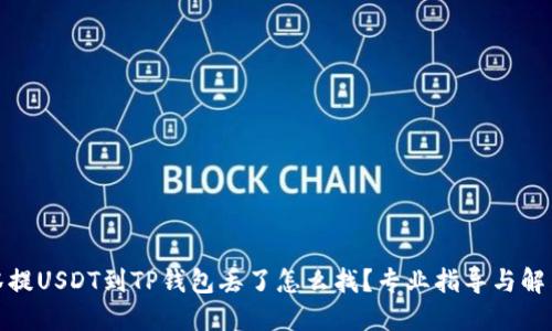 : 抹茶提USDT到TP钱包丢了怎么找？专业指导与解决方案