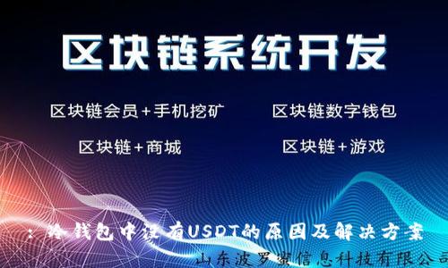 : 冷钱包中没有USDT的原因及解决方案