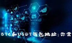 : 区块链支付中的BTC和USDT钱包地址：你需要知道