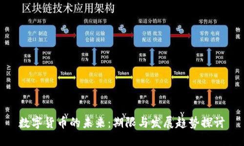 数字货币的未来：期限与发展趋势探讨