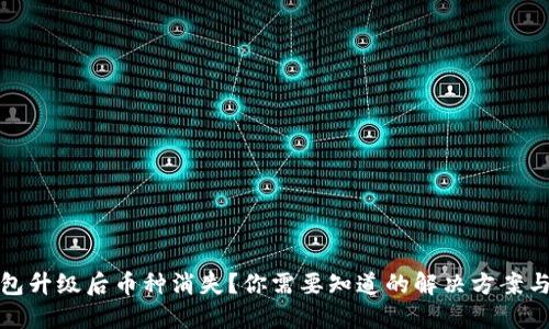 以太坊钱包升级后币种消失？你需要知道的解决方案与预防措施