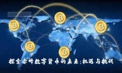探索赤峰数字货币的未来：机遇与挑战
