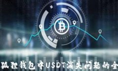 解决小狐狸钱包中USDT消失问题的全面指南