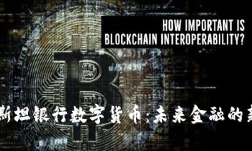 巴基斯坦银行数字货币：未来金融的新篇章