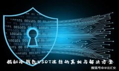 揭秘冷钱包USDT冻结的真相与解决方案