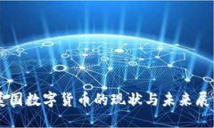 美国数字货币的现状与未来展望