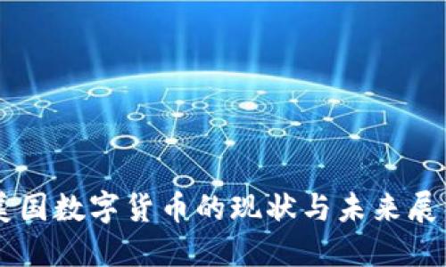 美国数字货币的现状与未来展望