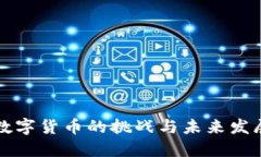 央行数字货币的挑战与未来发展展望