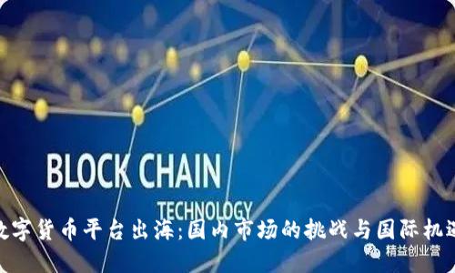 数字货币平台出海：国内市场的挑战与国际机遇