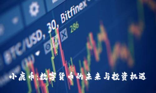 小鹿币：数字货币的未来与投资机遇