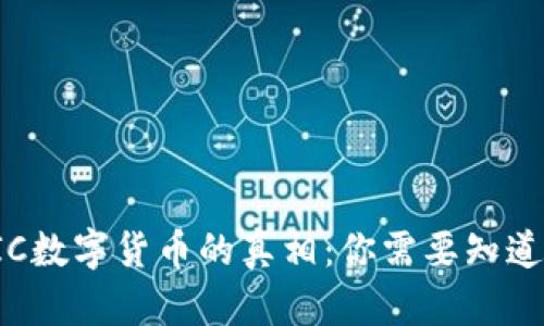 揭开VIC数字货币的真相：你需要知道的一切