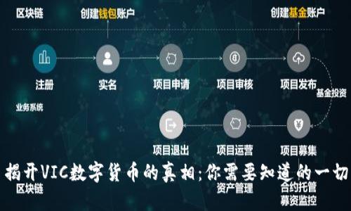 揭开VIC数字货币的真相：你需要知道的一切