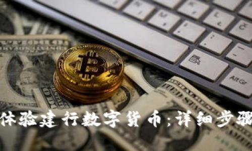 : 如何顺利体验建行数字货币：详细步骤与实用指南