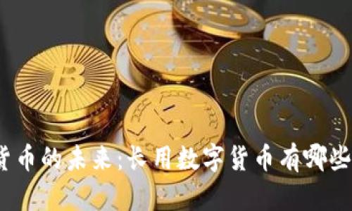 数字货币的未来：长用数字货币有哪些选择？