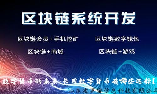 数字货币的未来：长用数字货币有哪些选择？