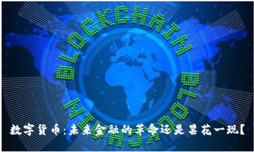 数字货币：未来金融的革命还是昙花一现？