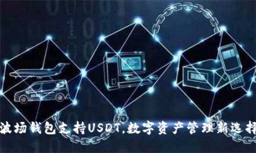 波场钱包支持USDT，数字资产管理新选择