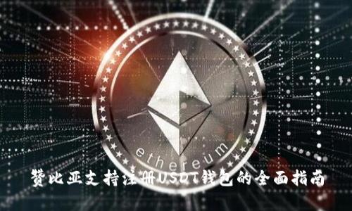 赞比亚支持注册USDT钱包的全面指南