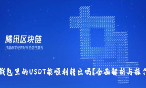 波场钱包里的USDT能顺利转出吗？全面解析与操作指南