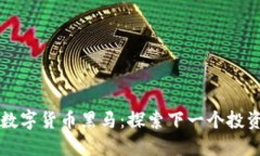 未来数字货币黑马：探索下一个投资热点