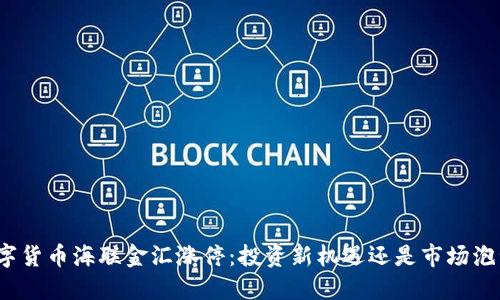 数字货币海联金汇涨停：投资新机遇还是市场泡沫？