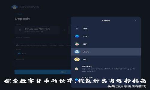 探索数字货币的世界：钱包种类与选择指南