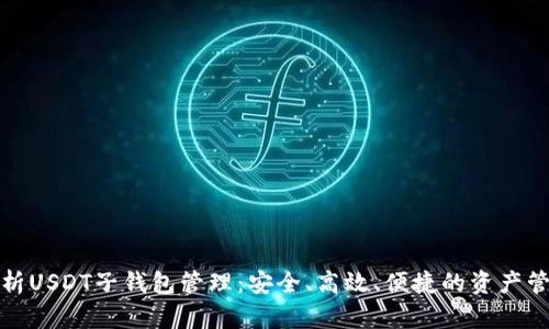 全面解析USDT子钱包管理：安全、高效、便捷的资产管理方案