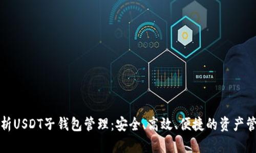 全面解析USDT子钱包管理：安全、高效、便捷的资产管理方案