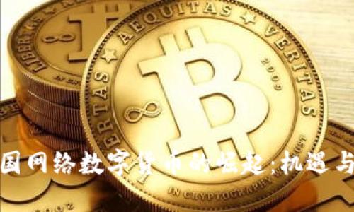 : 美国网络数字货币的崛起：机遇与挑战