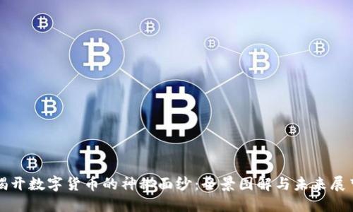 揭开数字货币的神秘面纱：全景图解与未来展望