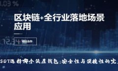 导出USDT选择哪个低层钱包：安全性与便捷性的完