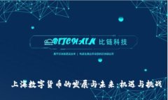  上海数字货币的发展与未来：机遇与挑战