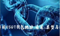 全面解析USDT钱包地址：通道、类型与安全性